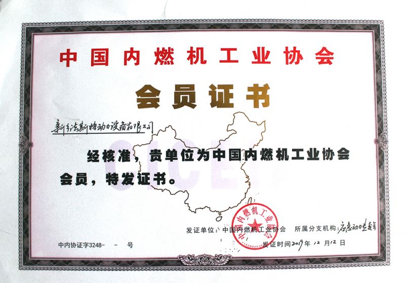 Internal combustion engine Association